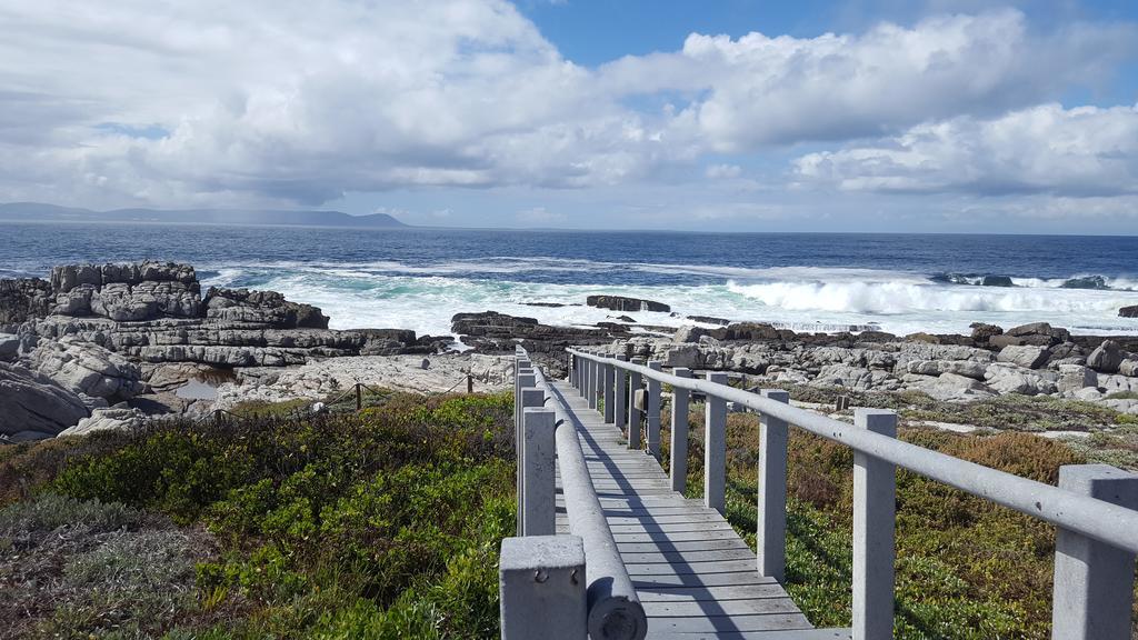 Whale View Self Catering Apartment Hermanus Extérieur photo